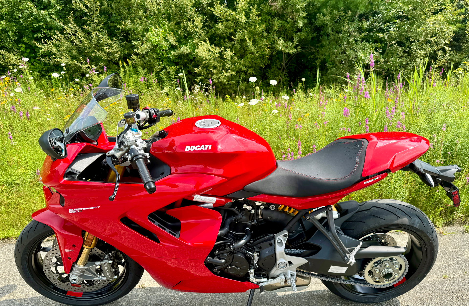 2024 Ducati SuperSport 950 S in Foxboro, Massachusetts - Photo 12