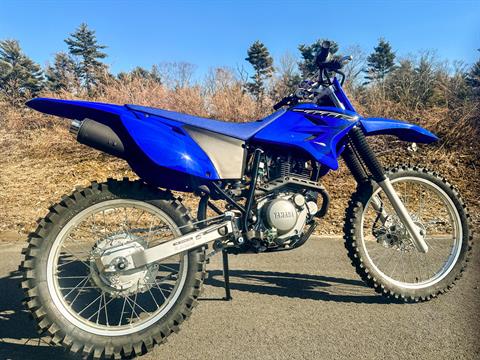 2023 Yamaha TT-R230 in Foxboro, Massachusetts