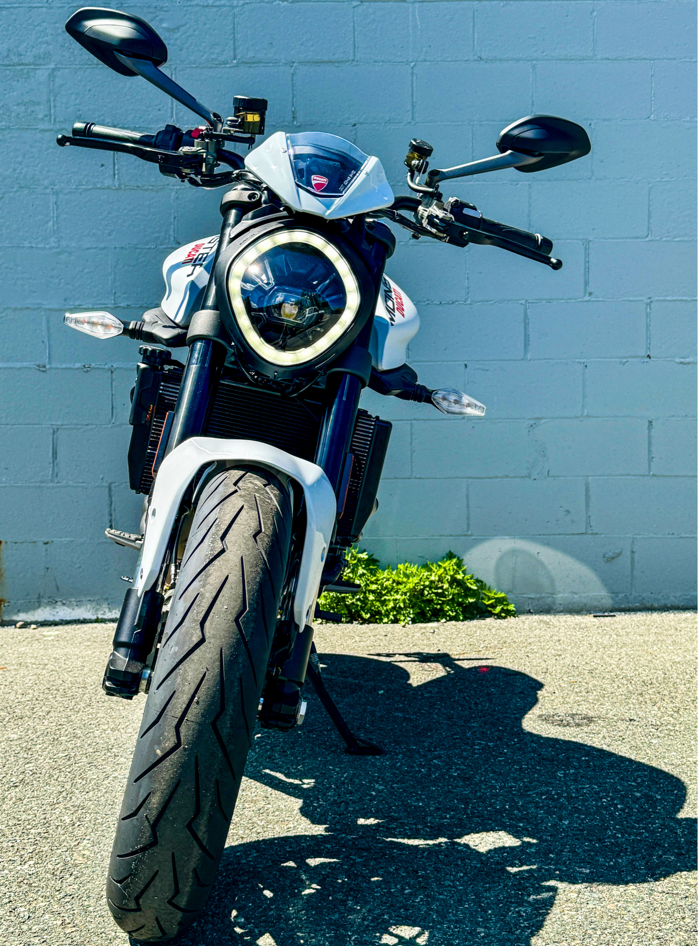 2024 Ducati Monster + in Foxboro, Massachusetts - Photo 7