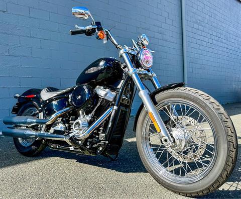 2020 Harley-Davidson Softail® Standard in Foxboro, Massachusetts - Photo 15