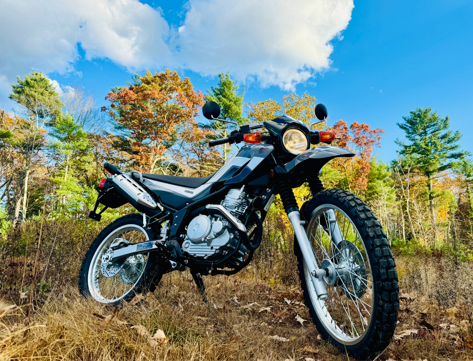 2025 Yamaha XT250 in Foxboro, Massachusetts - Photo 3