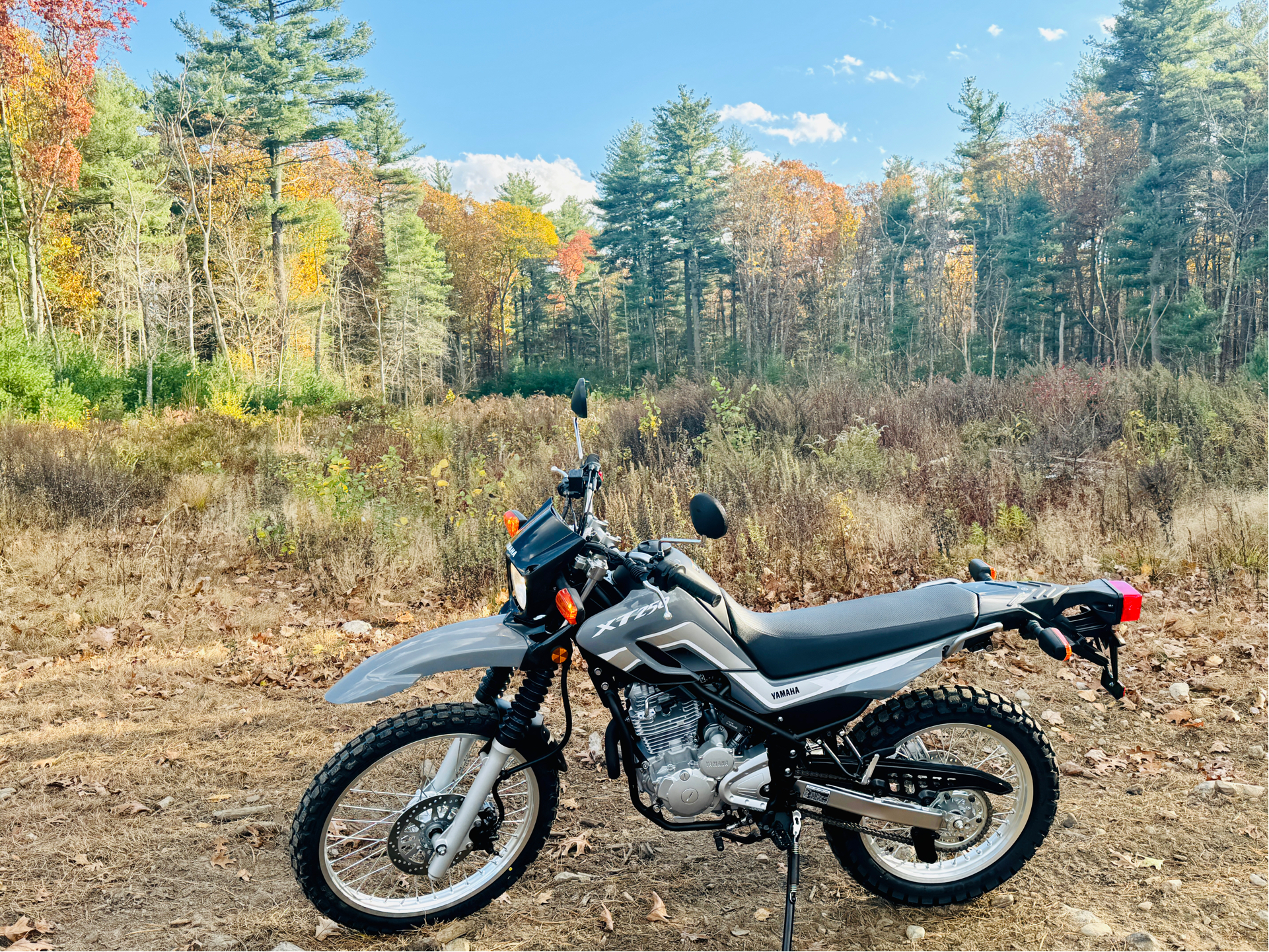 2025 Yamaha XT250 in Foxboro, Massachusetts - Photo 9