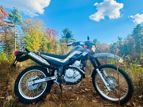 2025 Yamaha XT250 in Foxboro, Massachusetts - Photo 27