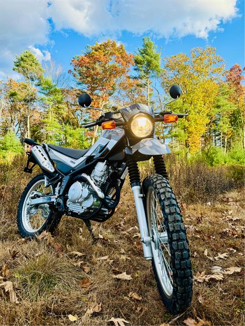 2025 Yamaha XT250 in Foxboro, Massachusetts - Photo 30