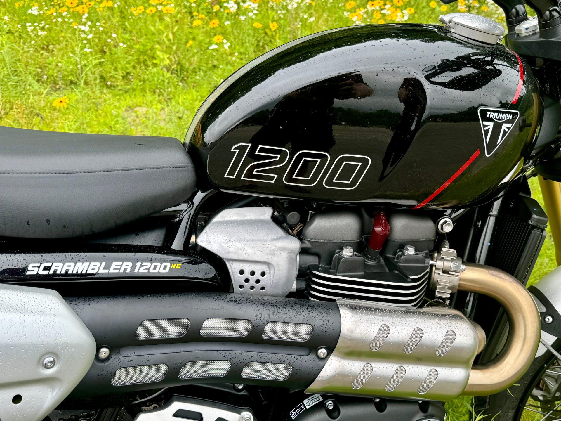 2024 Triumph Scrambler 1200 XE in Foxboro, Massachusetts - Photo 30