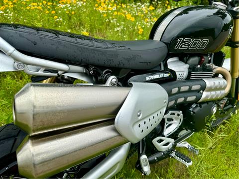 2024 Triumph Scrambler 1200 XE in Foxboro, Massachusetts - Photo 8