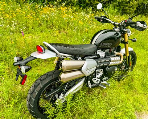 2024 Triumph Scrambler 1200 XE in Foxboro, Massachusetts - Photo 12