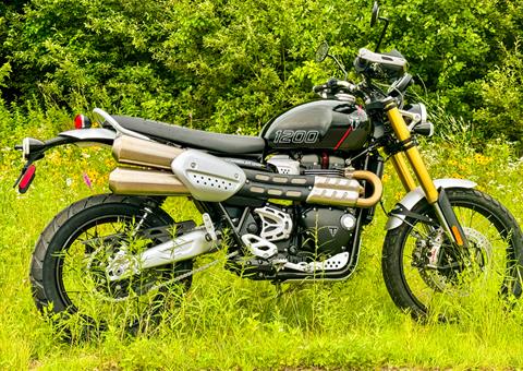 2024 Triumph Scrambler 1200 XE in Foxboro, Massachusetts - Photo 27