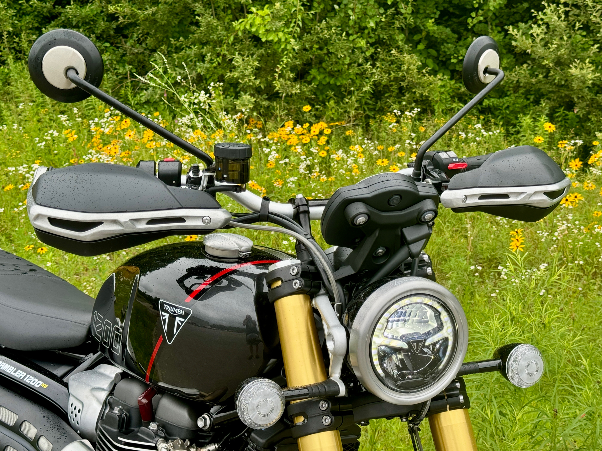 2024 Triumph Scrambler 1200 XE in Foxboro, Massachusetts - Photo 36