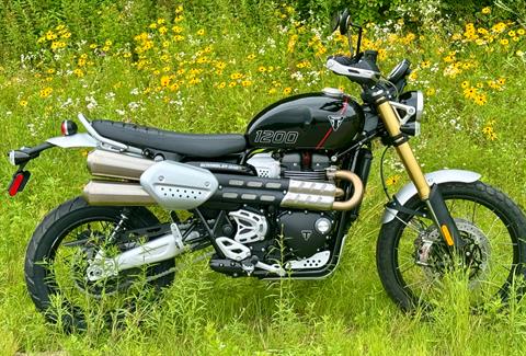 2024 Triumph Scrambler 1200 XE in Foxboro, Massachusetts - Photo 1