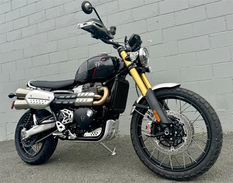 2024 Triumph Scrambler 1200 XE in Foxboro, Massachusetts - Photo 10