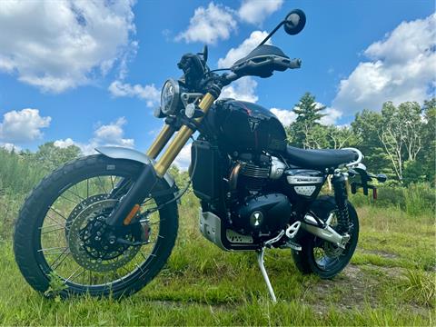 2024 Triumph Scrambler 1200 XE in Foxboro, Massachusetts - Photo 29