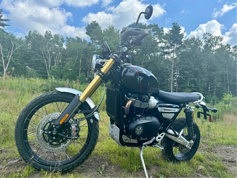 2024 Triumph Scrambler 1200 XE in Foxboro, Massachusetts - Photo 45