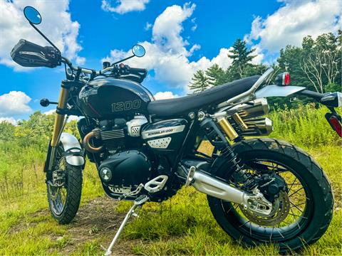 2024 Triumph Scrambler 1200 XE in Foxboro, Massachusetts - Photo 3