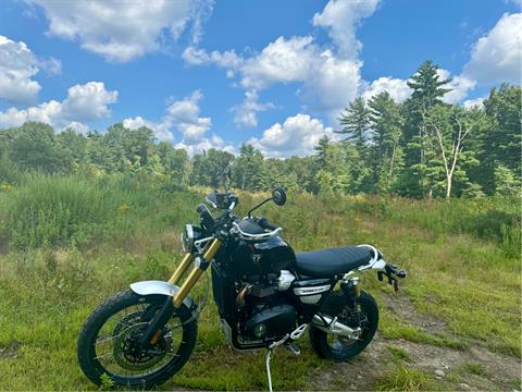 2024 Triumph Scrambler 1200 XE in Foxboro, Massachusetts - Photo 46