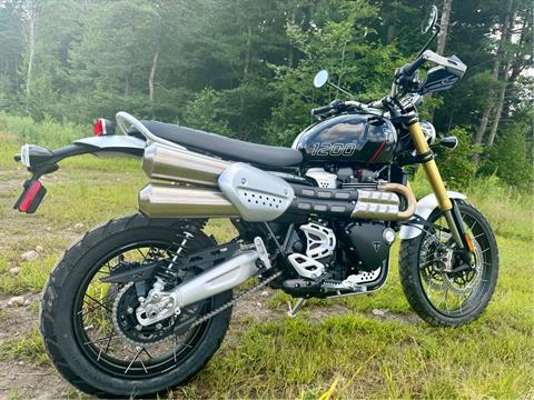 2024 Triumph Scrambler 1200 XE in Foxboro, Massachusetts - Photo 19