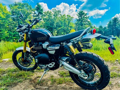 2024 Triumph Scrambler 1200 XE in Foxboro, Massachusetts - Photo 37