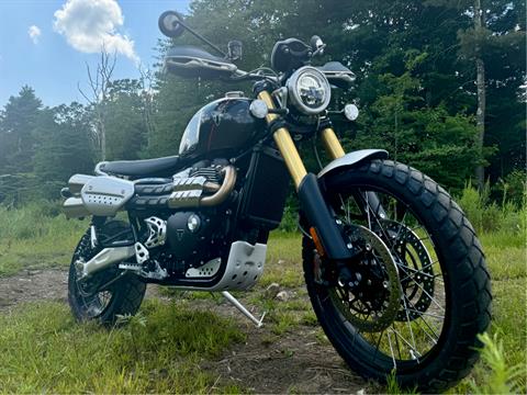 2024 Triumph Scrambler 1200 XE in Foxboro, Massachusetts - Photo 52