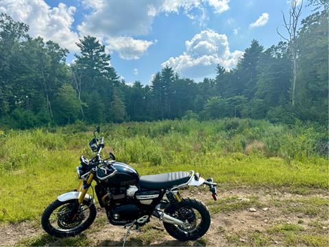 2024 Triumph Scrambler 1200 XE in Foxboro, Massachusetts - Photo 57