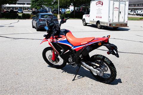 2024 Honda CRF300L Rally in Concord, New Hampshire - Photo 6