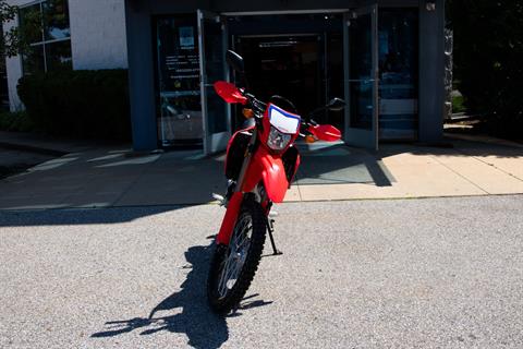 2024 Honda CRF300L ABS in Concord, New Hampshire - Photo 3