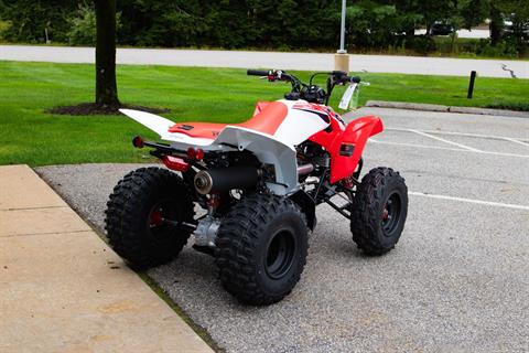 2024 Honda TRX250X in Concord, New Hampshire - Photo 6