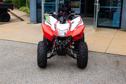 2024 Honda TRX250X in Concord, New Hampshire - Photo 10