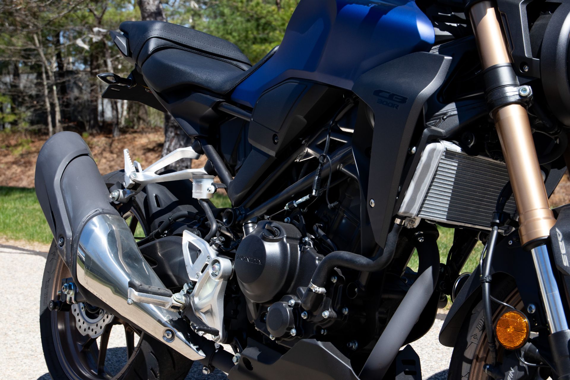 2022 Honda CB300R ABS in Concord, New Hampshire - Photo 3