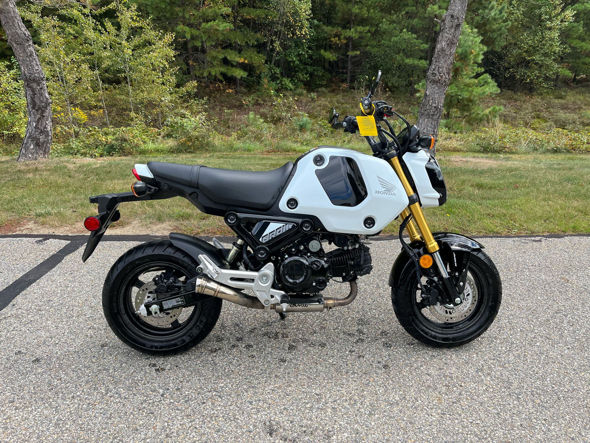 2024 Honda Grom ABS in Concord, New Hampshire - Photo 1