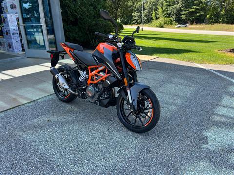 2023 KTM 390 Duke in Concord, New Hampshire - Photo 2