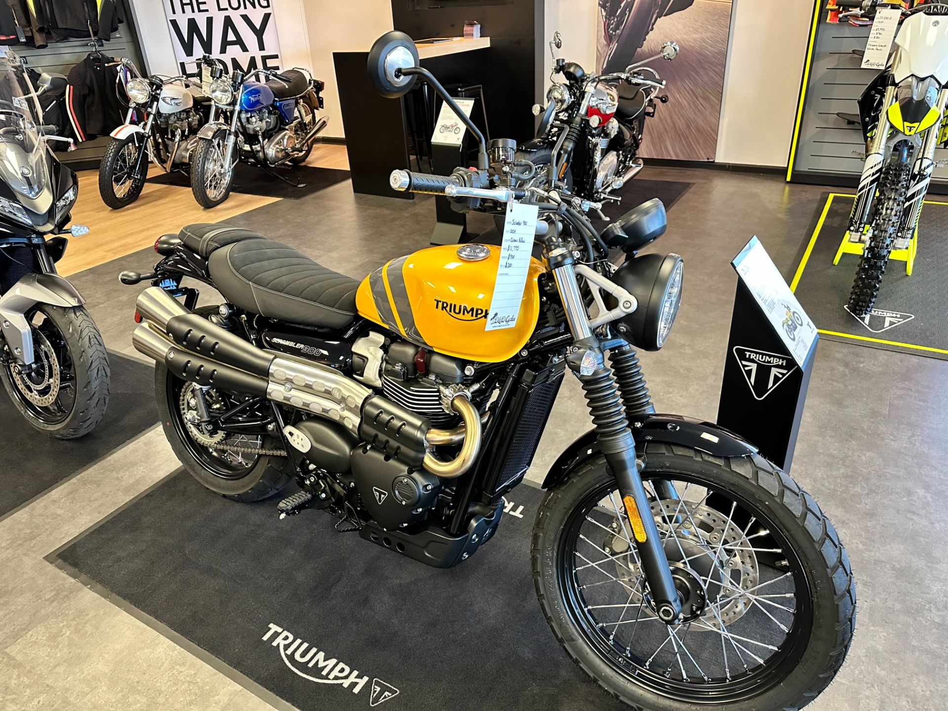 2024 Triumph Scrambler 900 in Pensacola, Florida - Photo 1