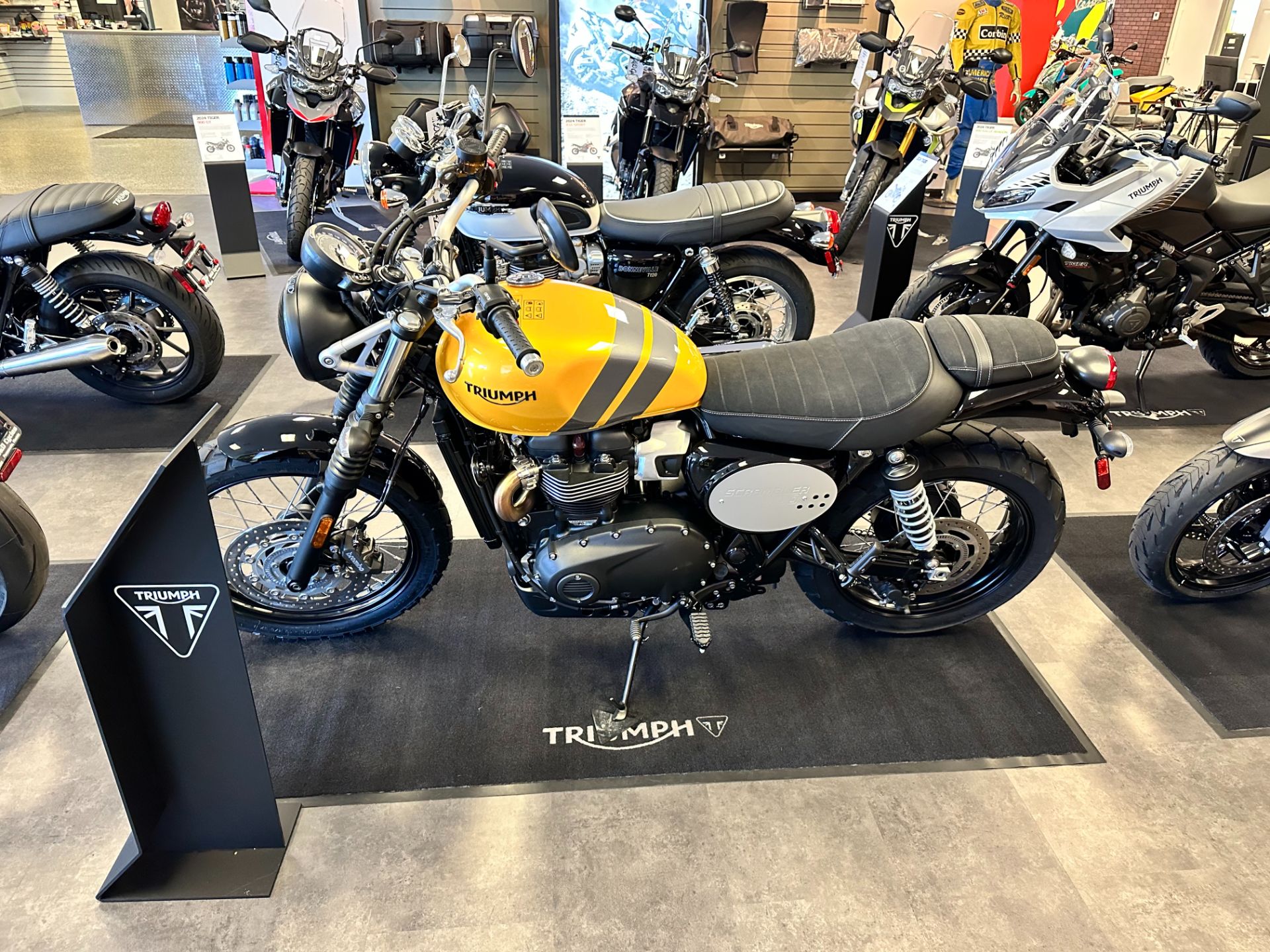 2024 Triumph Scrambler 900 in Pensacola, Florida - Photo 2