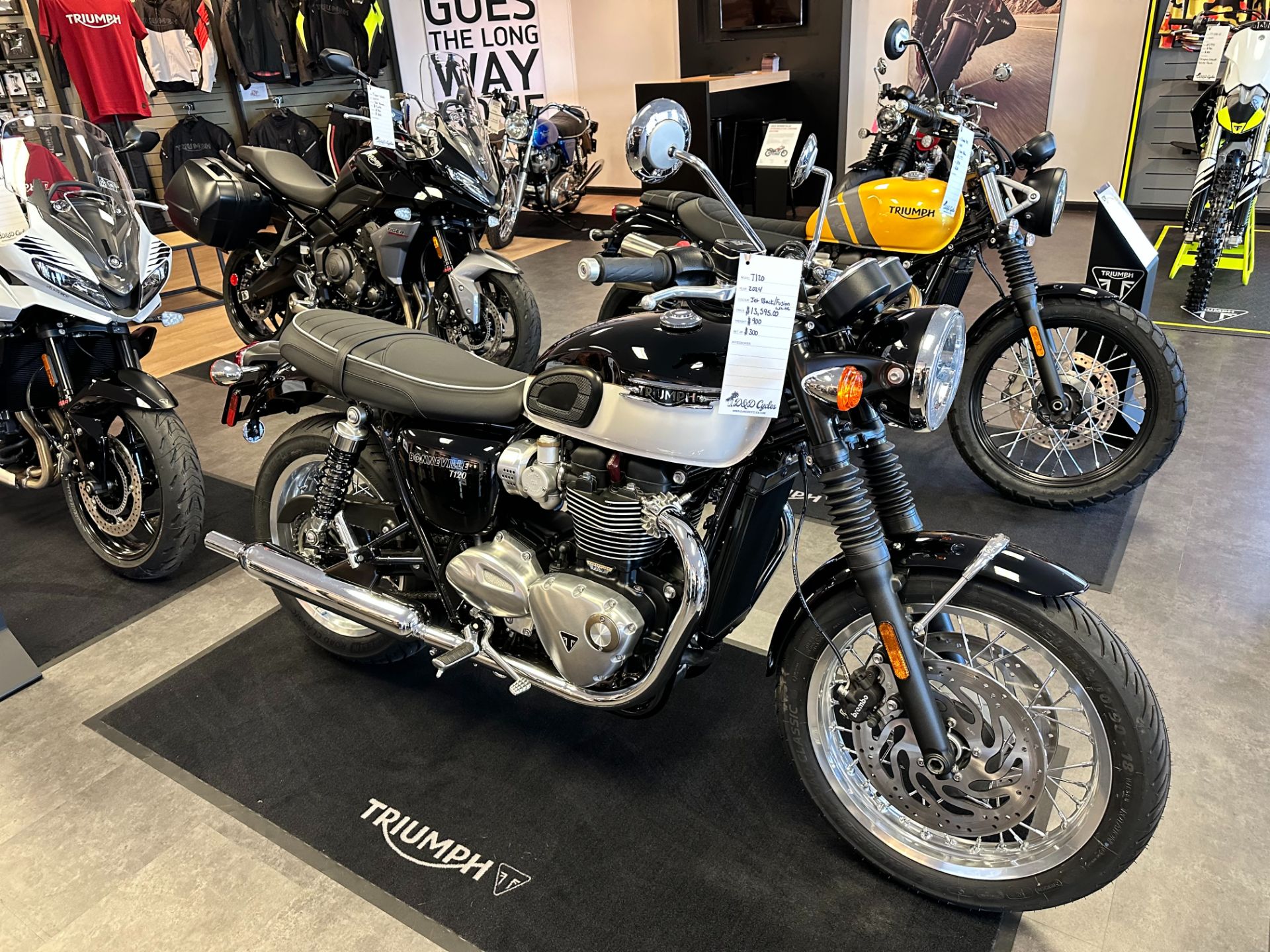 2024 Triumph Bonneville T120 in Pensacola, Florida - Photo 1