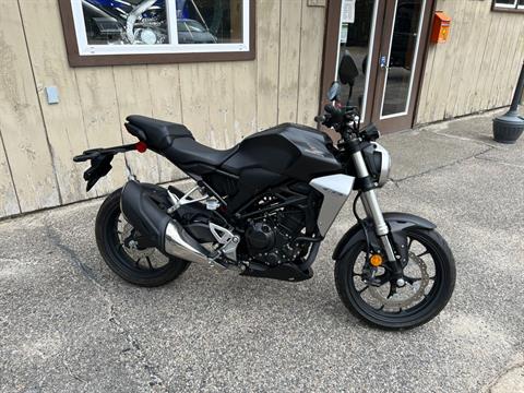 2019 Honda CB300R in Tamworth, New Hampshire - Photo 1