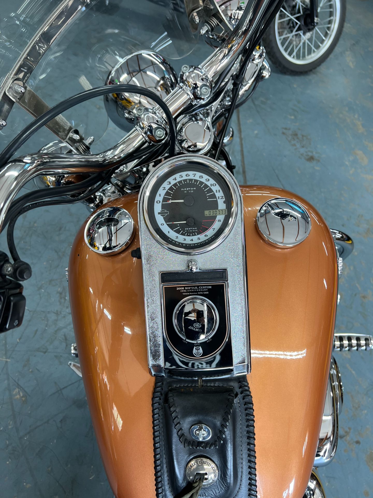 2008 Harley-Davidson FXSTC Softail® Custom in Tamworth, New Hampshire - Photo 4