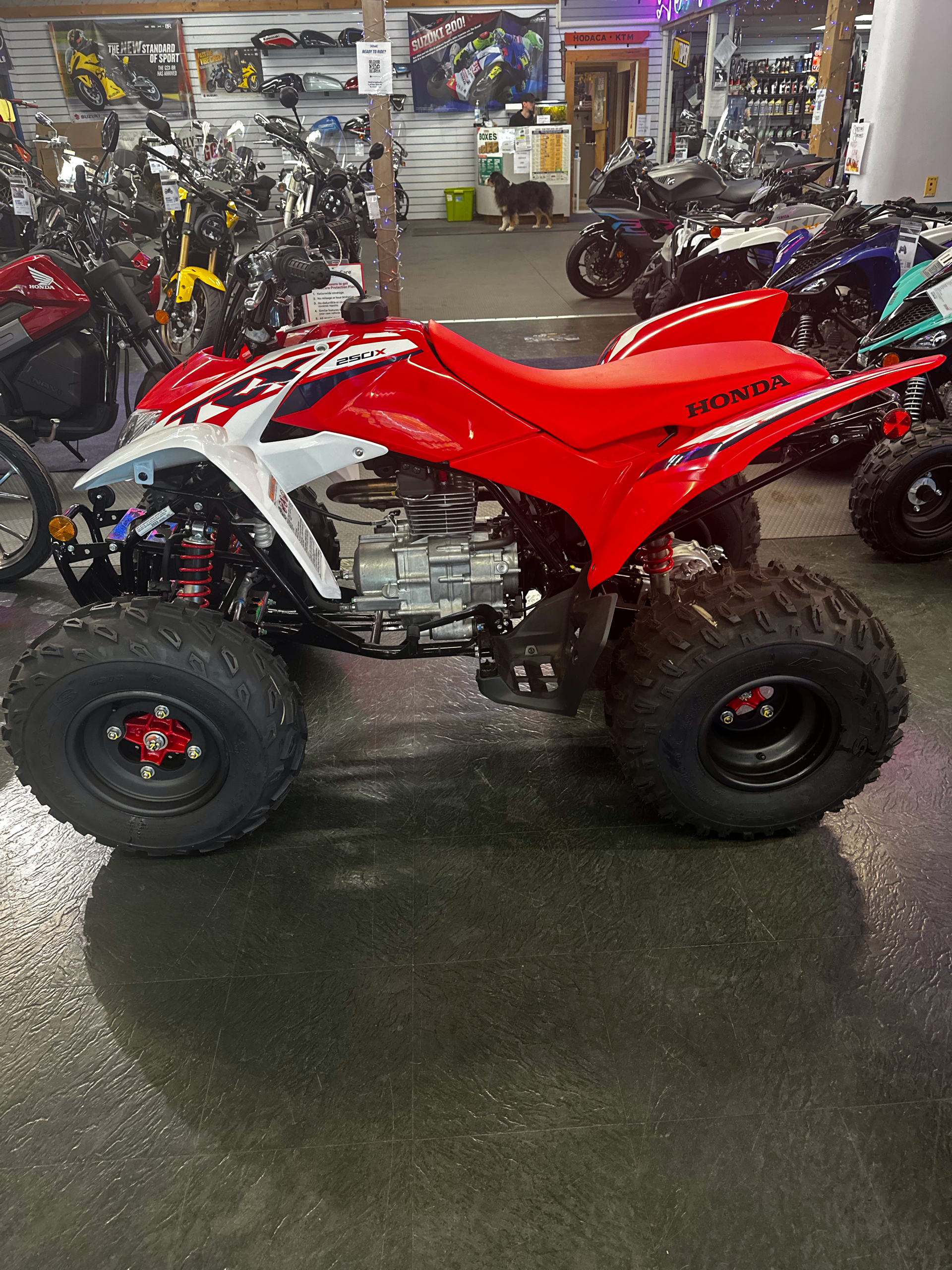 2023 Honda TRX250X in Phillipston, Massachusetts - Photo 1