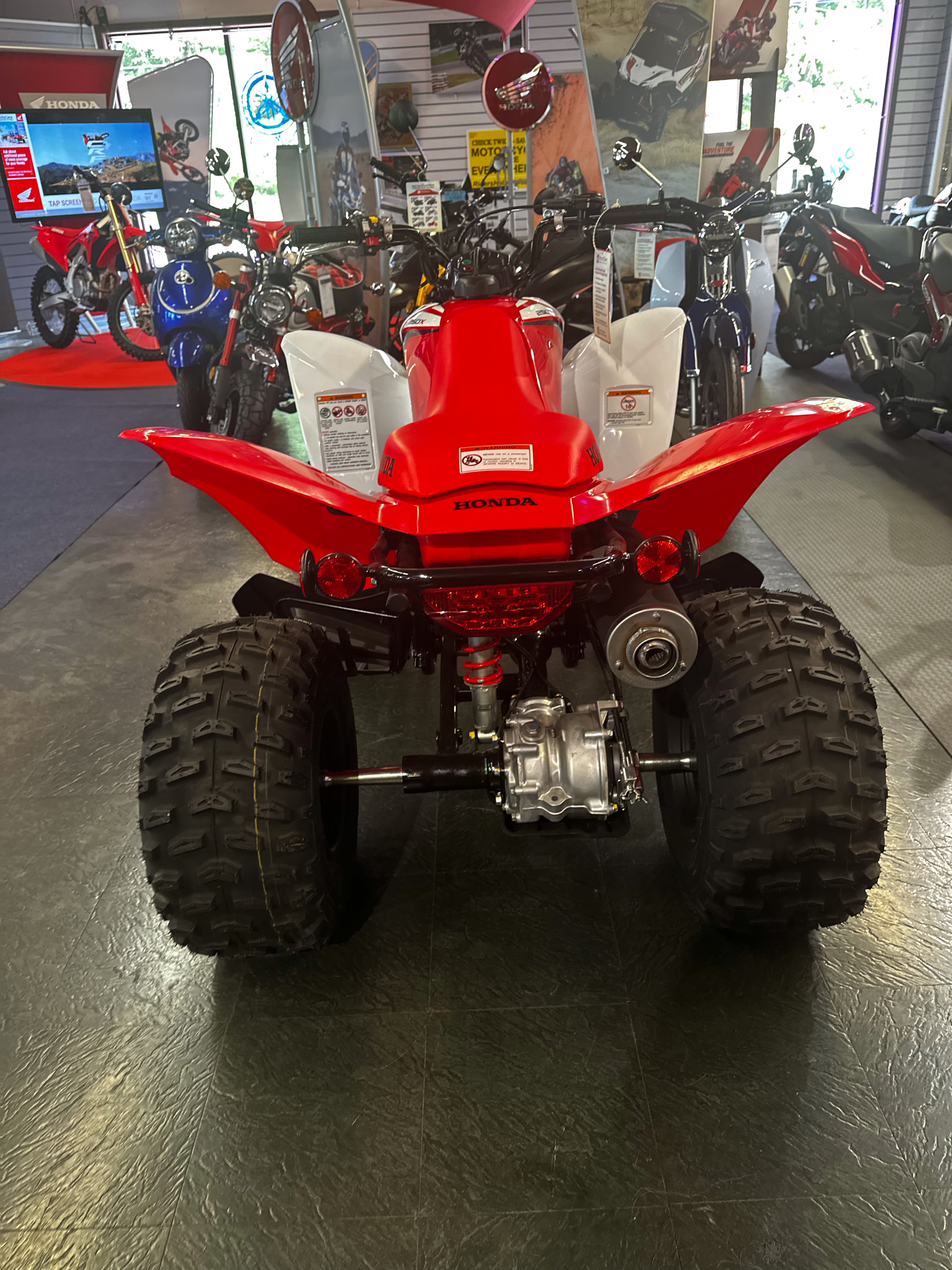 2023 Honda TRX250X in Phillipston, Massachusetts - Photo 2