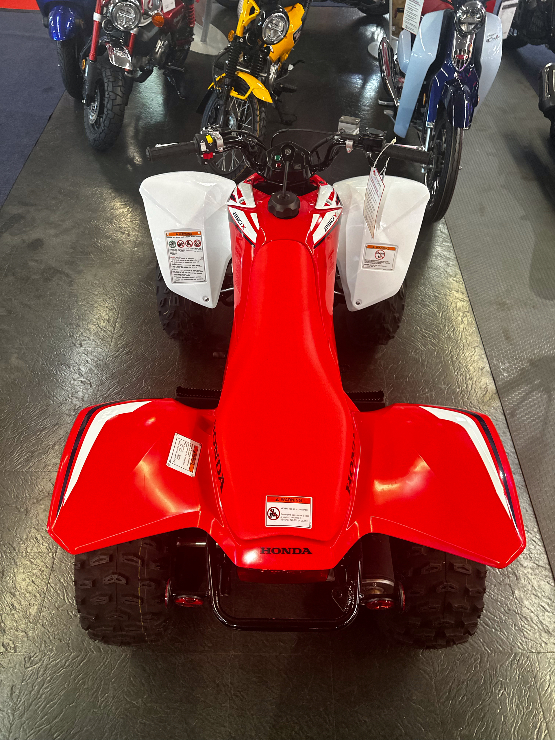 2023 Honda TRX250X in Phillipston, Massachusetts - Photo 3