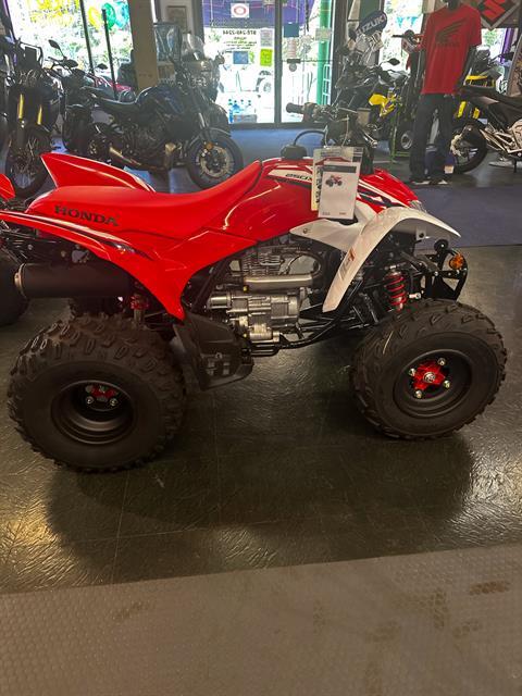 2023 Honda TRX250X in Phillipston, Massachusetts - Photo 4