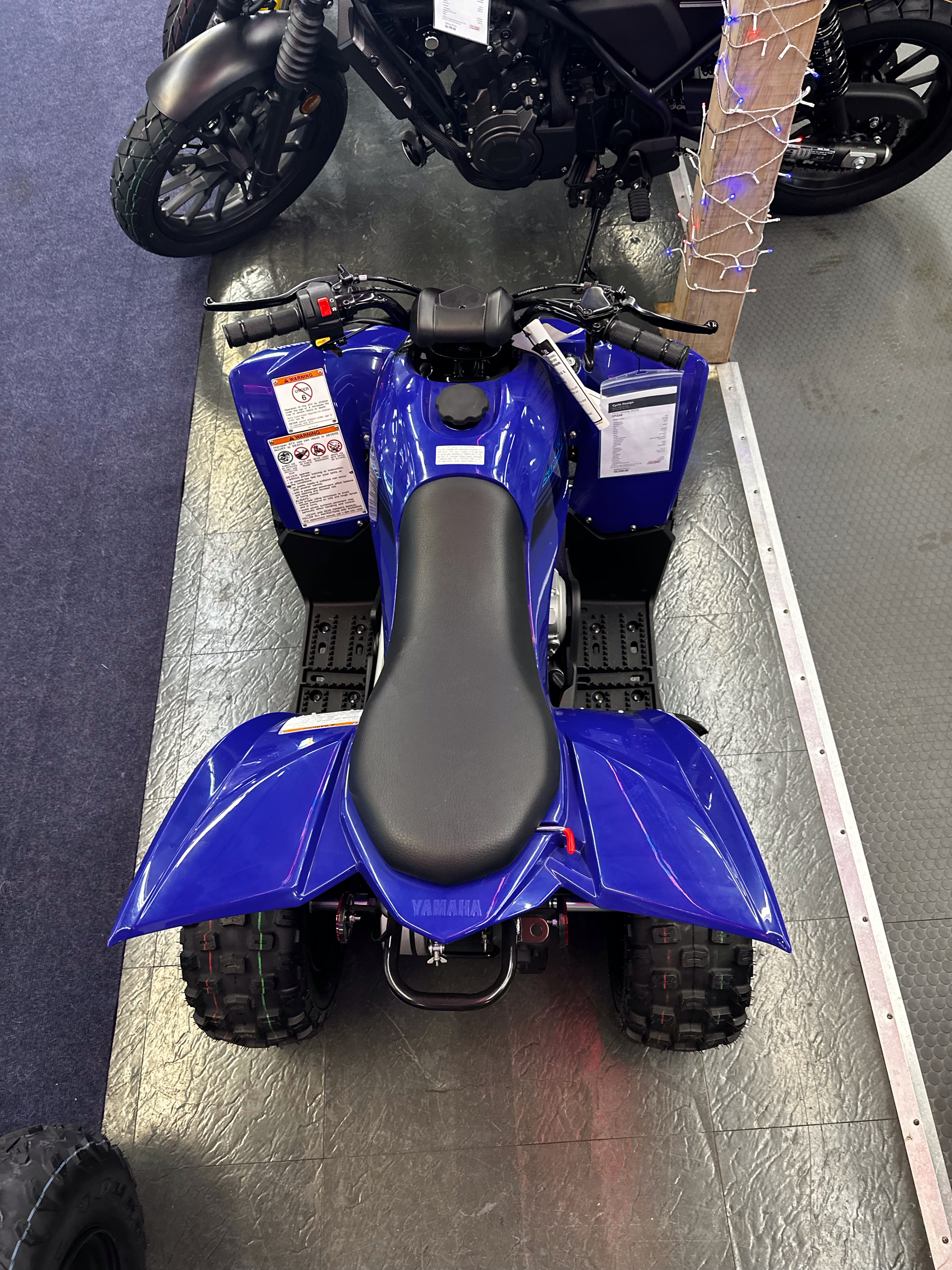 2024 Yamaha YFZ50 in Phillipston, Massachusetts - Photo 2