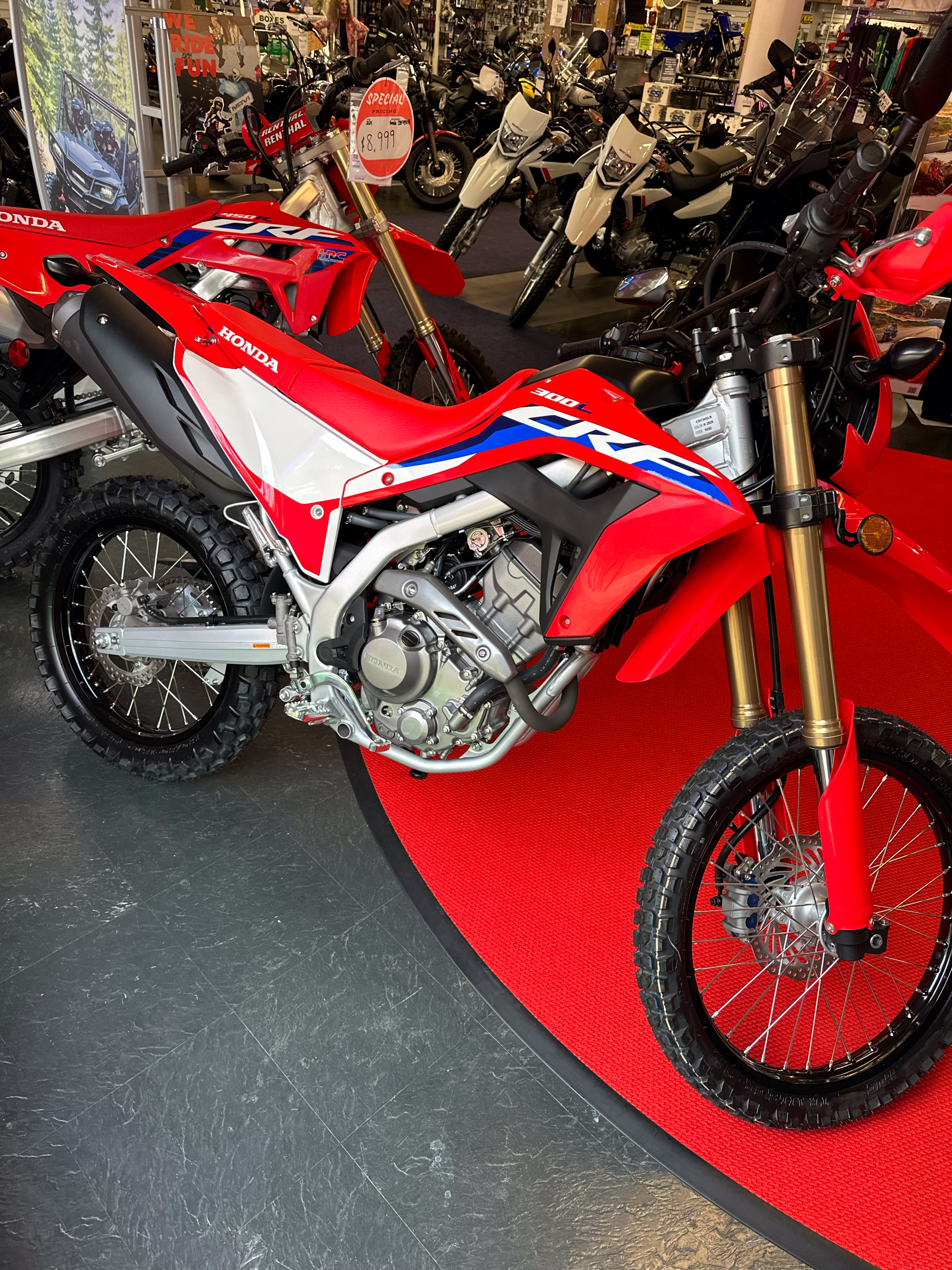 2024 Honda CRF300L ABS in Phillipston, Massachusetts - Photo 1