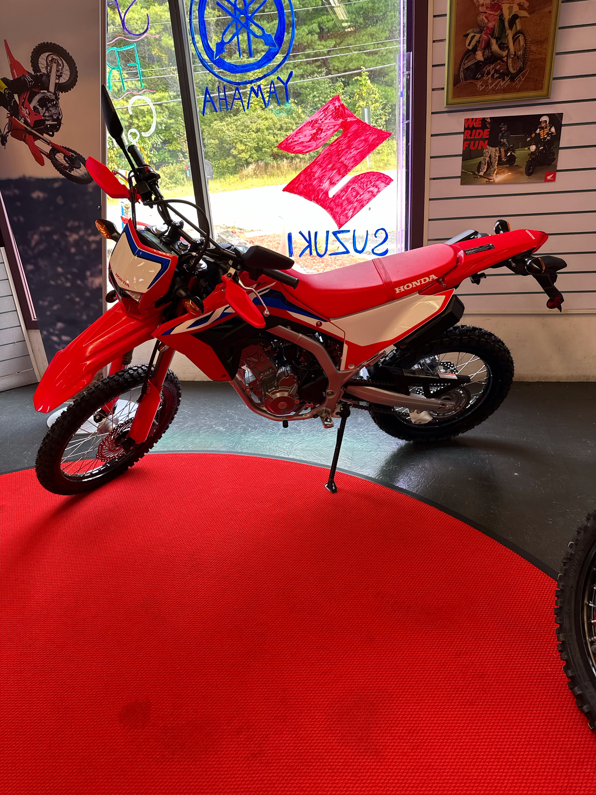 2024 Honda CRF300L ABS in Phillipston, Massachusetts - Photo 5