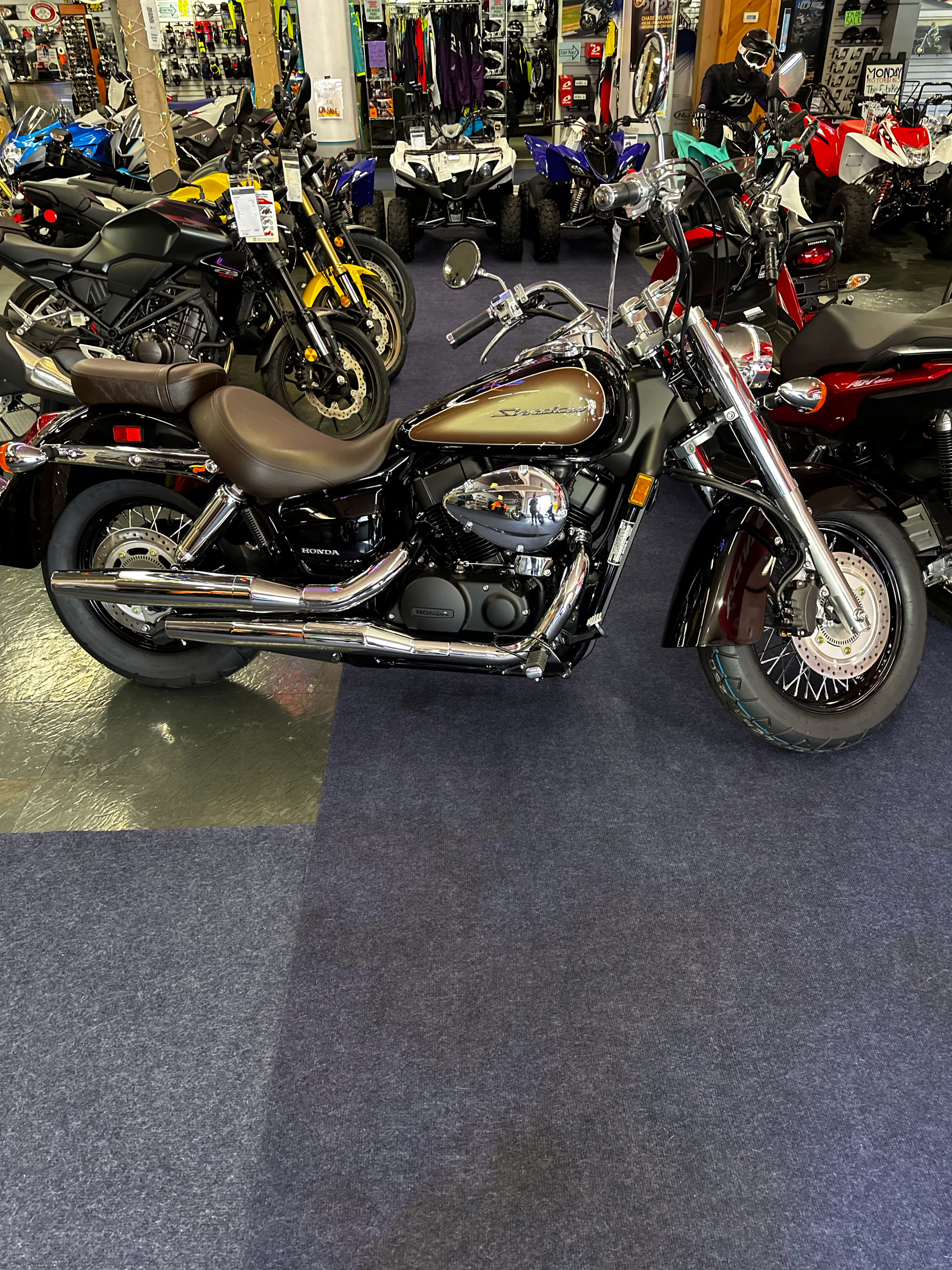 2024 Honda Shadow Aero ABS in Phillipston, Massachusetts - Photo 5