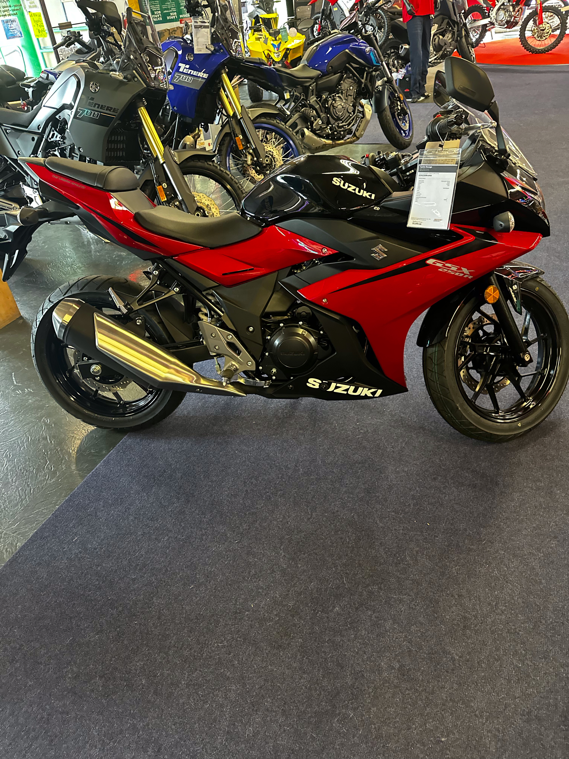 2024 Suzuki GSX250R ABS in Phillipston, Massachusetts - Photo 1