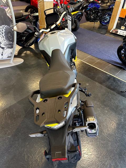 2023 Suzuki V-Strom 800DE in Phillipston, Massachusetts - Photo 2