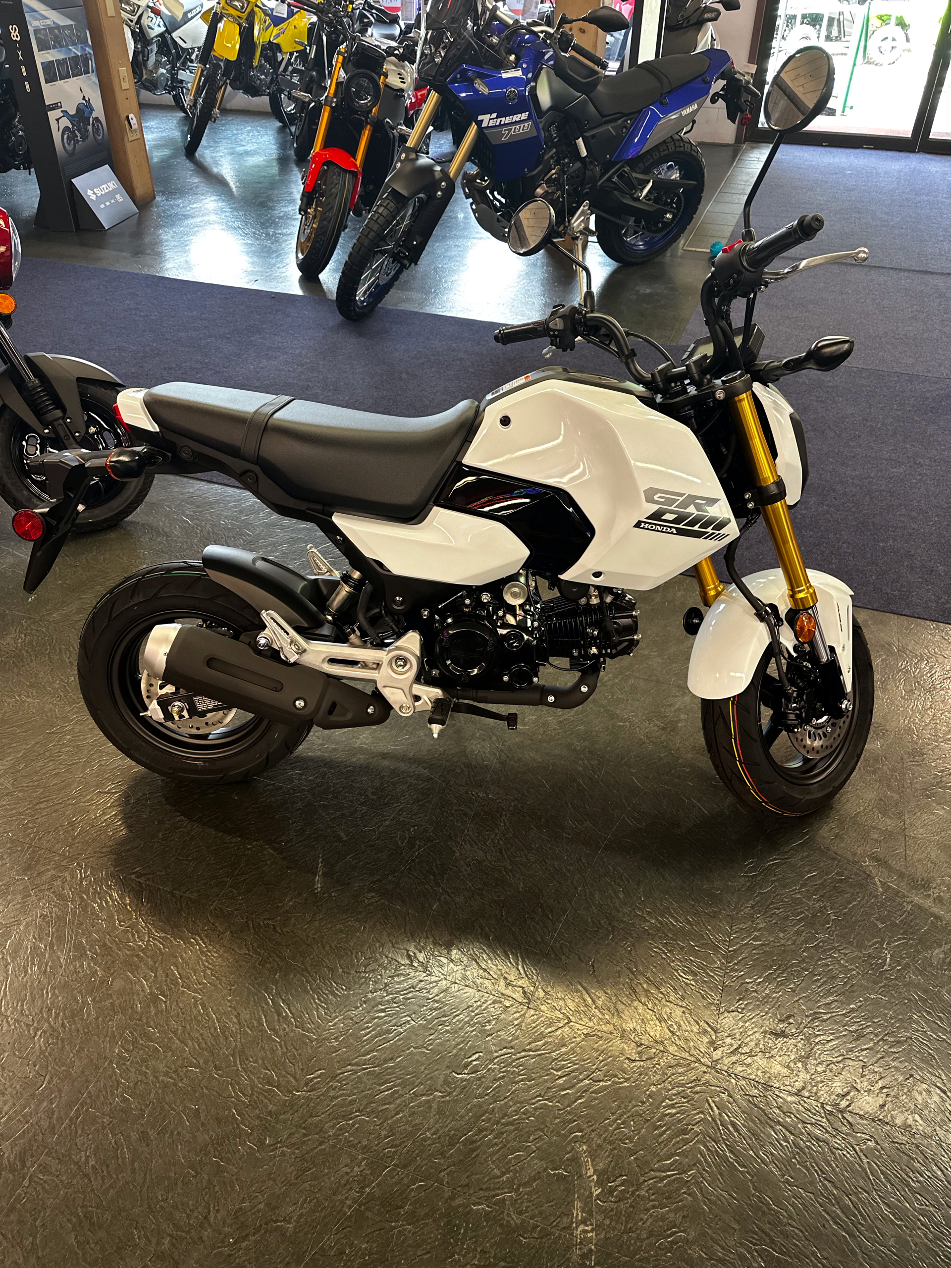 2025 Honda Grom ABS in Phillipston, Massachusetts - Photo 1