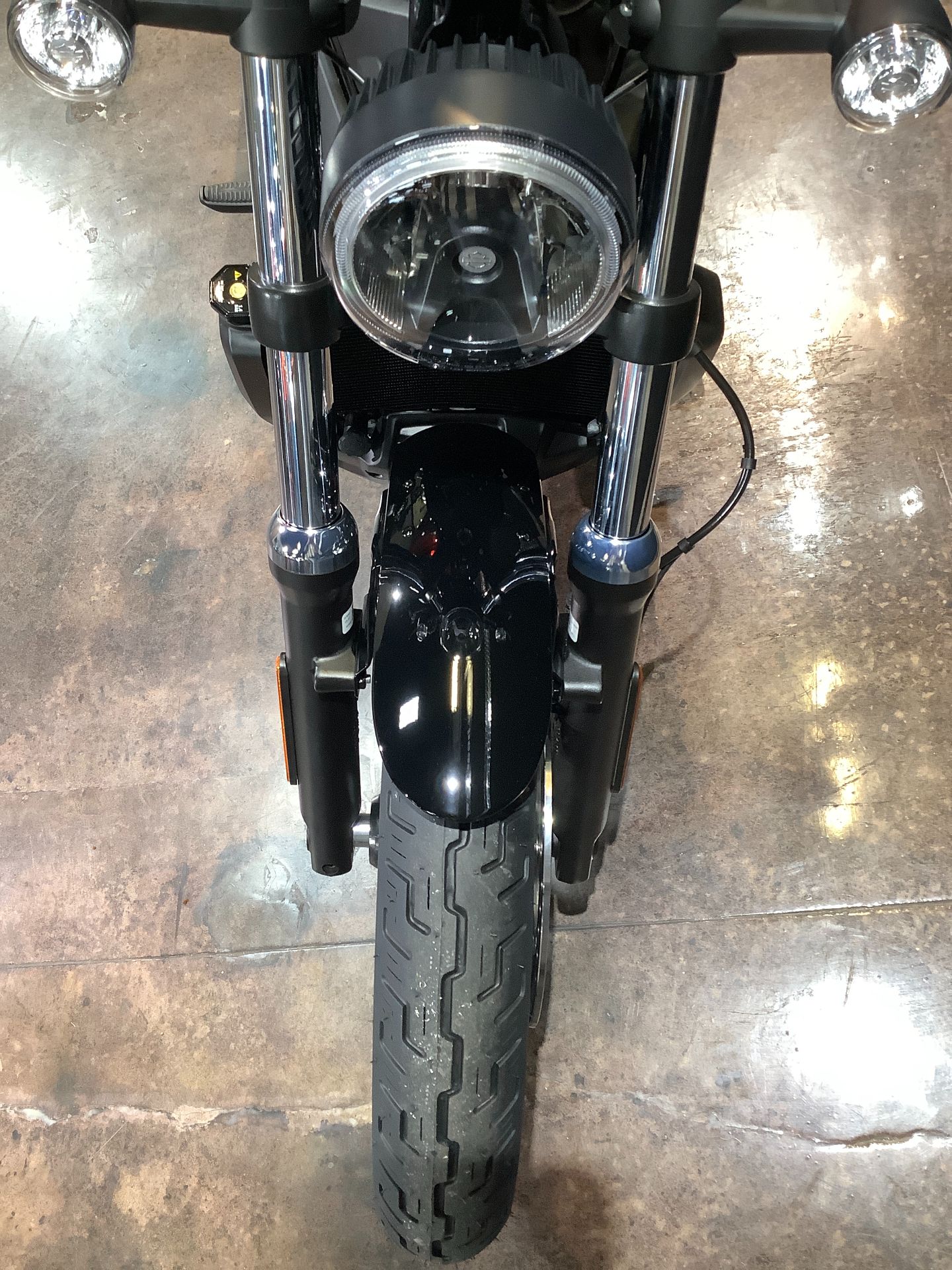 2023 Harley-Davidson Nightster™ in Burlington, Iowa - Photo 6