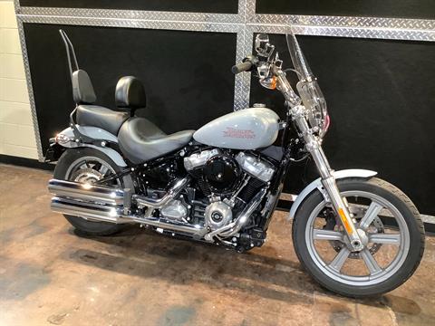 2024 Harley-Davidson Softail Standard in Burlington, Iowa - Photo 3