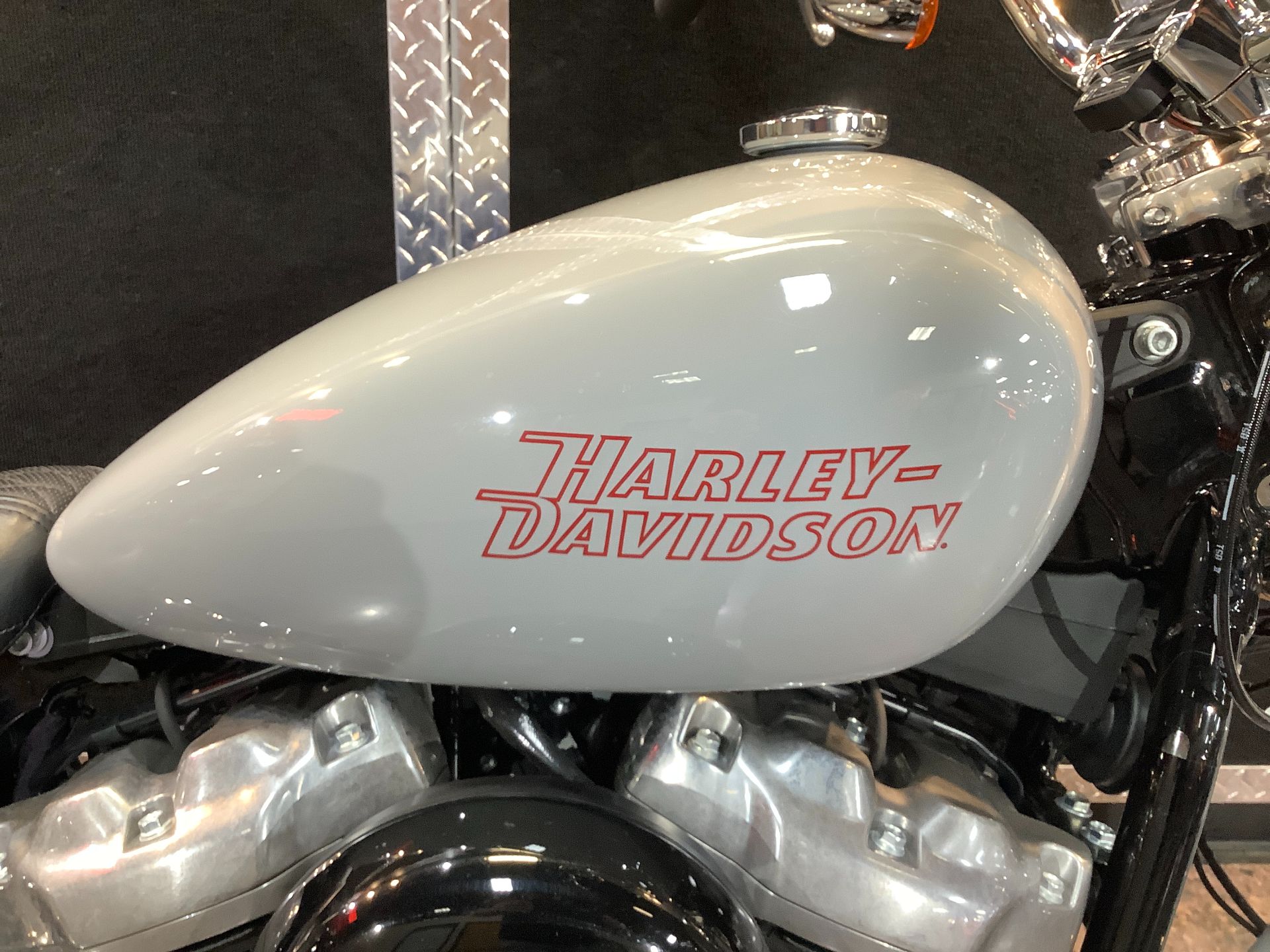 2024 Harley-Davidson Softail Standard in Burlington, Iowa - Photo 5