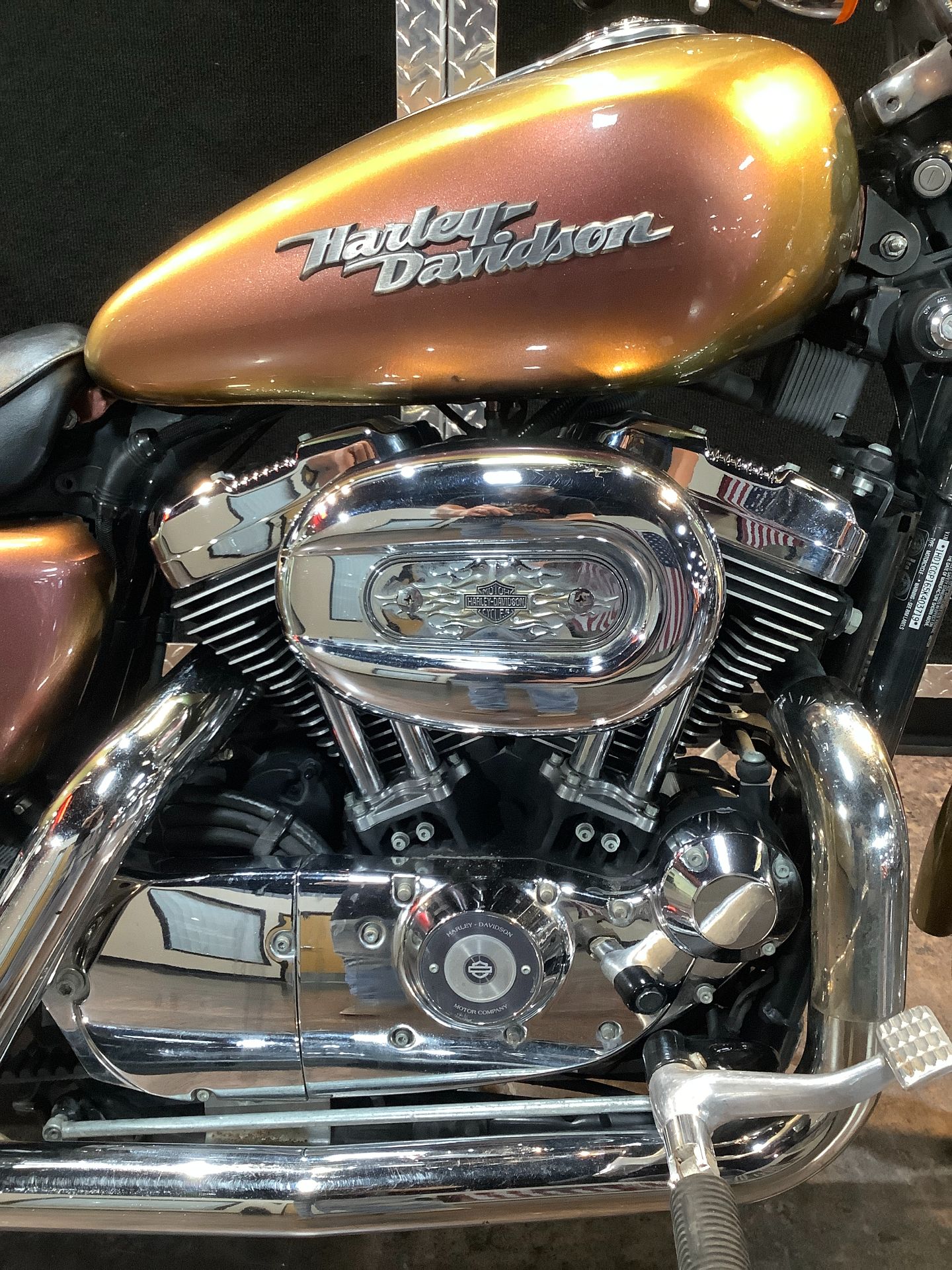 2005 Harley-Davidson Sportster® XL 1200 Custom in Burlington, Iowa - Photo 9